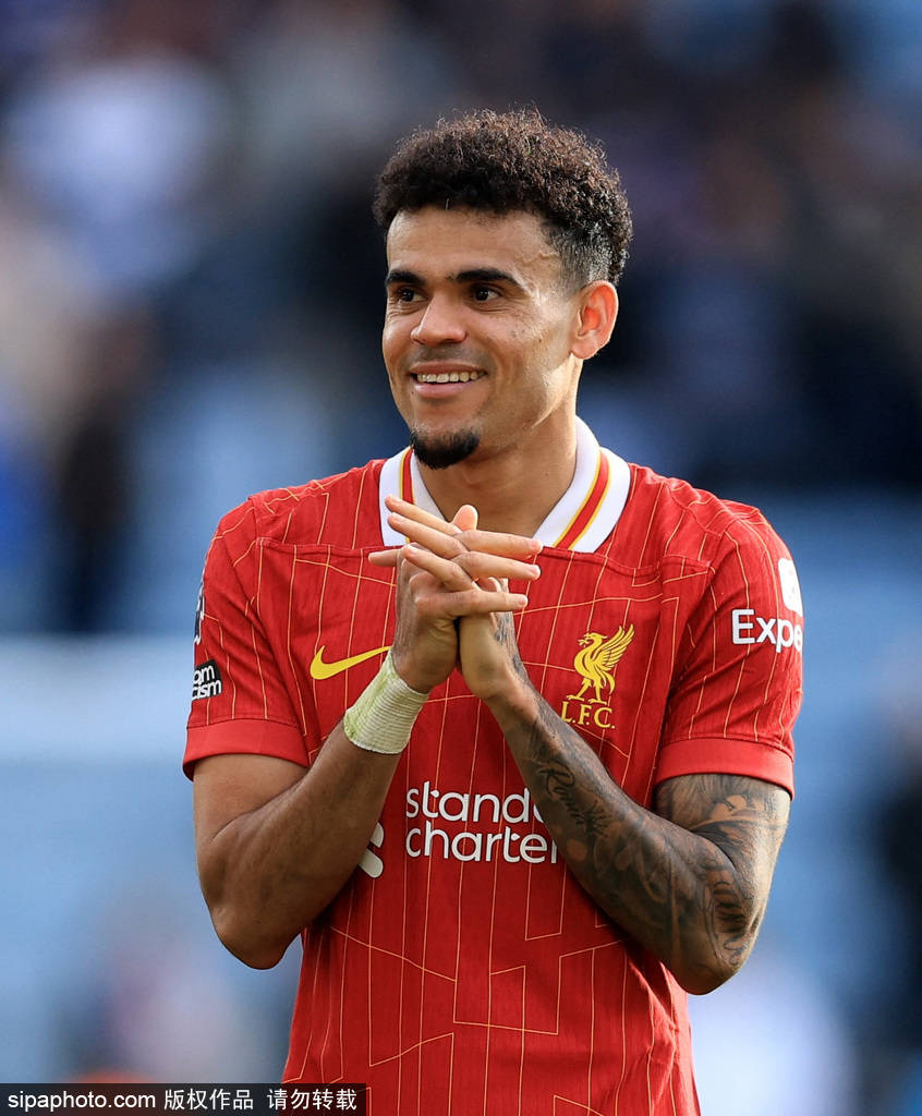 不可忽视的 不可忽视的