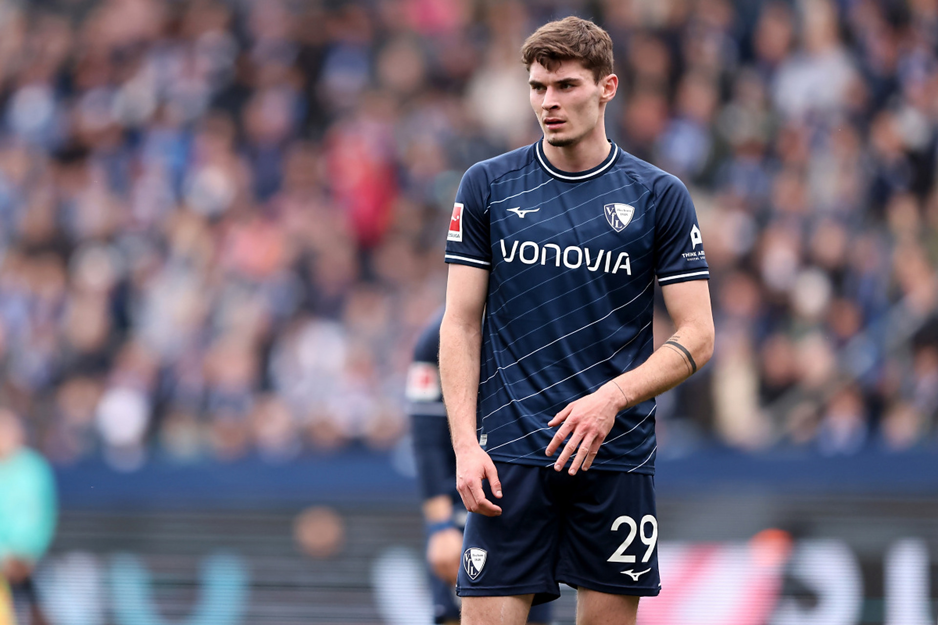 和情感的球 和情感的球