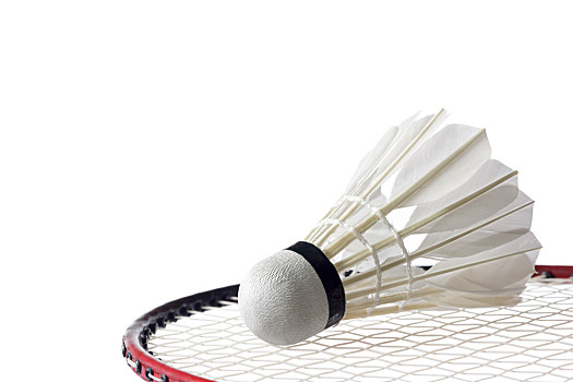 展示了优秀 展示了优秀